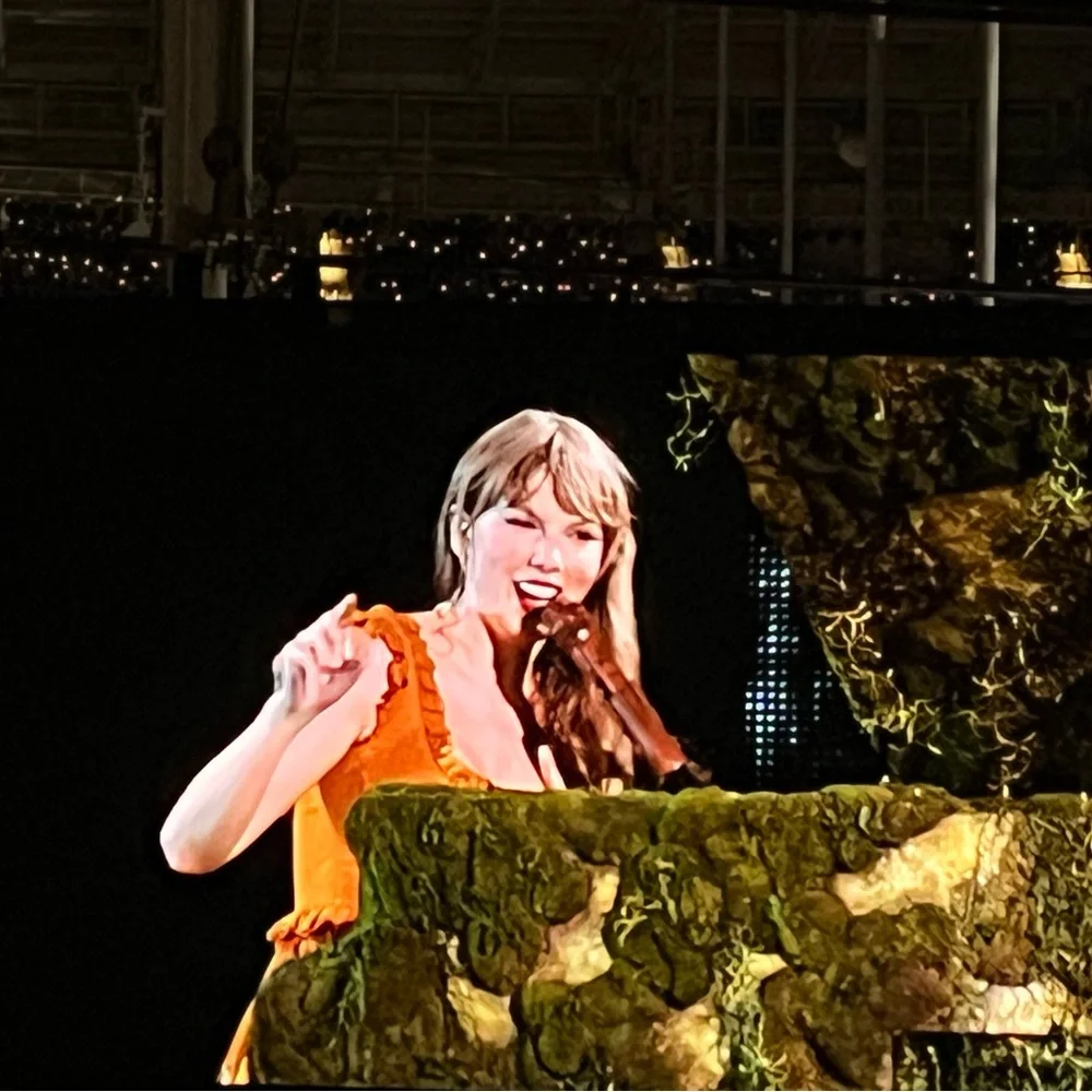 Taylor Swift Multicolor The Eras Tour Wall Hanging